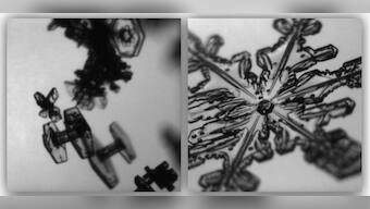 NASA shares intriguing photo, can you guess what the viral image is all about?