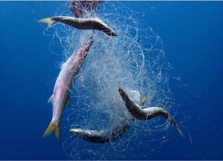 From mountains to oceans: Plastic pollution exceeds Earth's safe limit