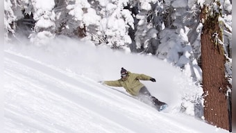 Man chased by bear while snowboarding in French Alps, watch viral video here