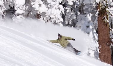 Man chased by bear while snowboarding in French Alps, watch viral video here