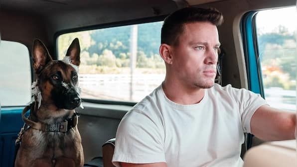 Dog movie review: Channing Tatum charms his way through an immensely enjoyable canine buddy roadtrip movie