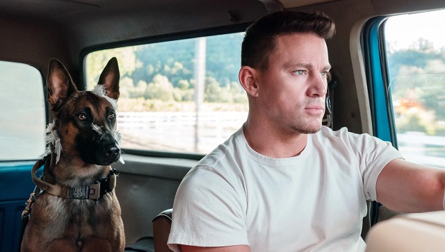 Dog movie review: Channing Tatum charms his way through an immensely enjoyable canine buddy roadtrip movie Dog movie review: Channing Tatum charms his way through an immensely enjoyable canine buddy roadtrip movie