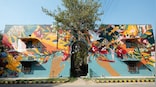 Out of water, on the wall: Lodhi Colony’s latest mural breaks travel boundaries