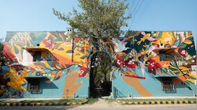 Out of water, on the wall: Lodhi Colony’s latest mural breaks travel boundaries
