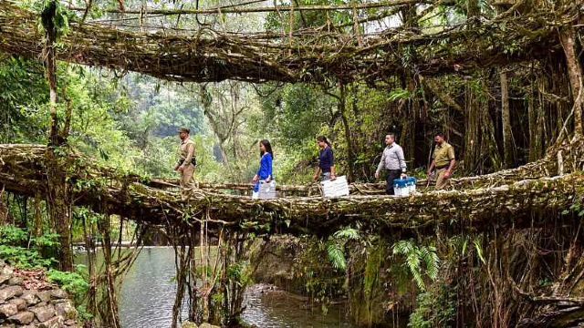 Meghalaya's Root Bridges on tentative list of UNESCO world heritage sites: Why this natural wonder needs to be preserved Meghalaya's Root Bridges on tentative list of UNESCO world heritage sites: Why this natural wonder needs to be preserved
