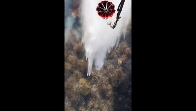 Sariska Tiger Reserve Fire: PM Modi speaks with Rajasthan CM Ashok Gehlot, assures all help Sariska Tiger Reserve Fire: PM Modi speaks with Rajasthan CM Ashok Gehlot, assures all help