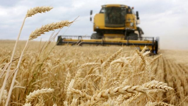 Poland receives draft EU regulation extending ban on Ukrainian food imports Poland receives draft EU regulation extending ban on Ukrainian food imports