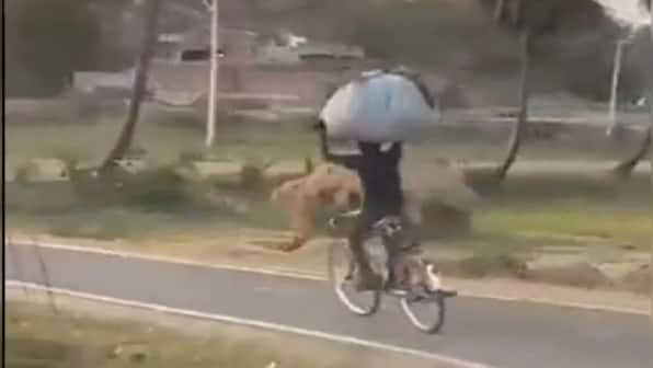 Cyclist reminds netizens 'life is what we make it'; watch video to find out why