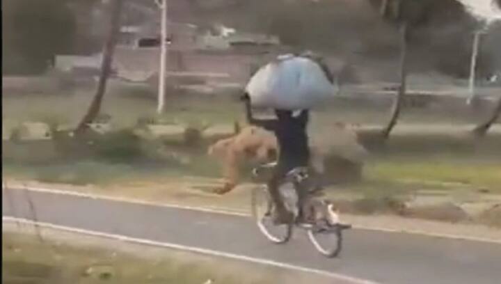 Cyclist reminds netizens 'life is what we make it'; watch video to find out why
