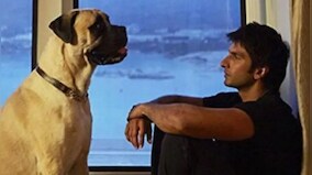 World Wildlife Day 2022: Here's a look at some interesting movies with animals in pivotal roles