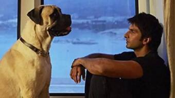 World Wildlife Day 2022: Here's a look at some interesting movies with animals in pivotal roles