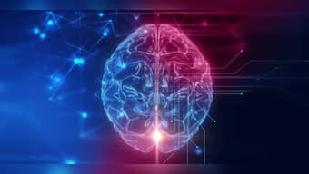 4 Best Adderall Alternatives: Top Natural OTC Pills in 2023