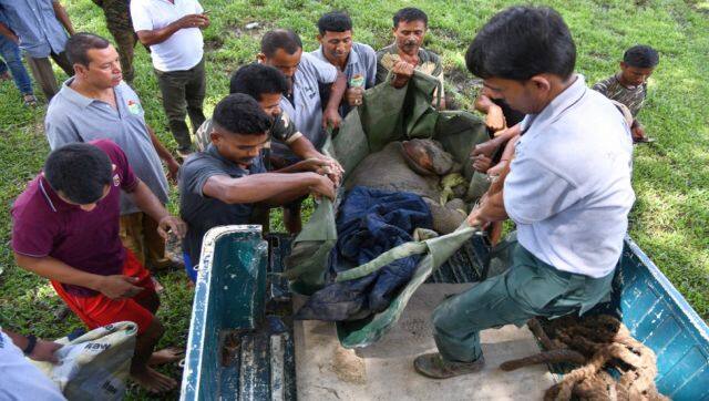 The rhino also suffers from the problem of flooding. Since 2018, data has revealed that as many as 400 rhinos died as devastating floods swept Assam. AFP