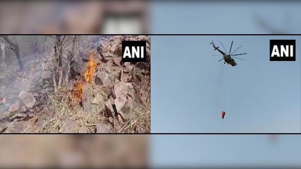 Rajasthan: Fire engulfs parts of Sariska Tiger Reserve, Air Force helicopters battle blaze