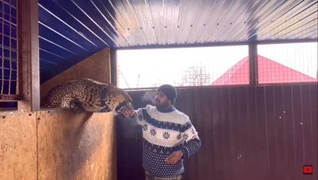 Ukraine-Russia war: Indian doctor refuses to leave Donbas without pet jaguar and panther Ukraine-Russia war: Indian doctor refuses to leave Donbas without pet jaguar and panther