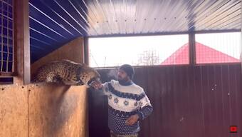 Ukraine-Russia war: Indian doctor refuses to leave Donbas without pet jaguar and panther