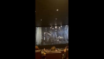 USA: Man releases real bat in theatre during 'The Batman' screening; watch viral video