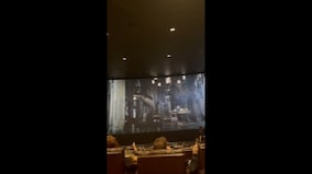 USA: Man releases real bat in theatre during 'The Batman' screening; watch viral video