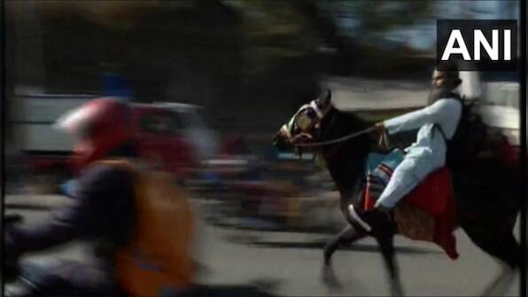 Maharashtra: Man commutes to work on horse amid fuel price hike, watch viral video