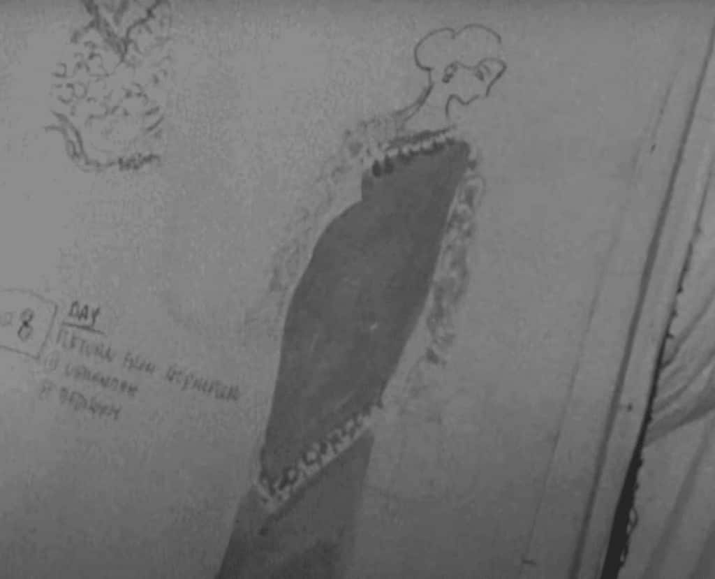 Costume sketches for Charulata