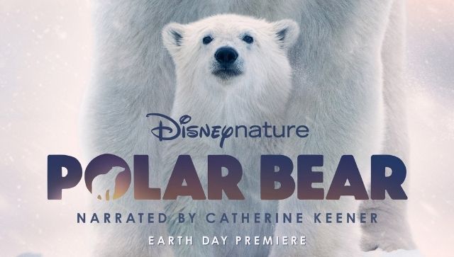 Jeff Wilson on filming in the Arctic ahead of the Polar Bear’s release, have a look Jeff Wilson on filming in the Arctic ahead of the Polar Bear’s release, have a look