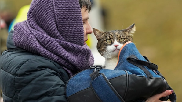 Russia-Ukraine war: More than 4.4 million have fled their homes since beginning of invasion