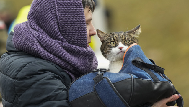 Russia-Ukraine war: More than 4.4 million have fled their homes since beginning of invasion Russia-Ukraine war: More than 4.4 million have fled their homes since beginning of invasion