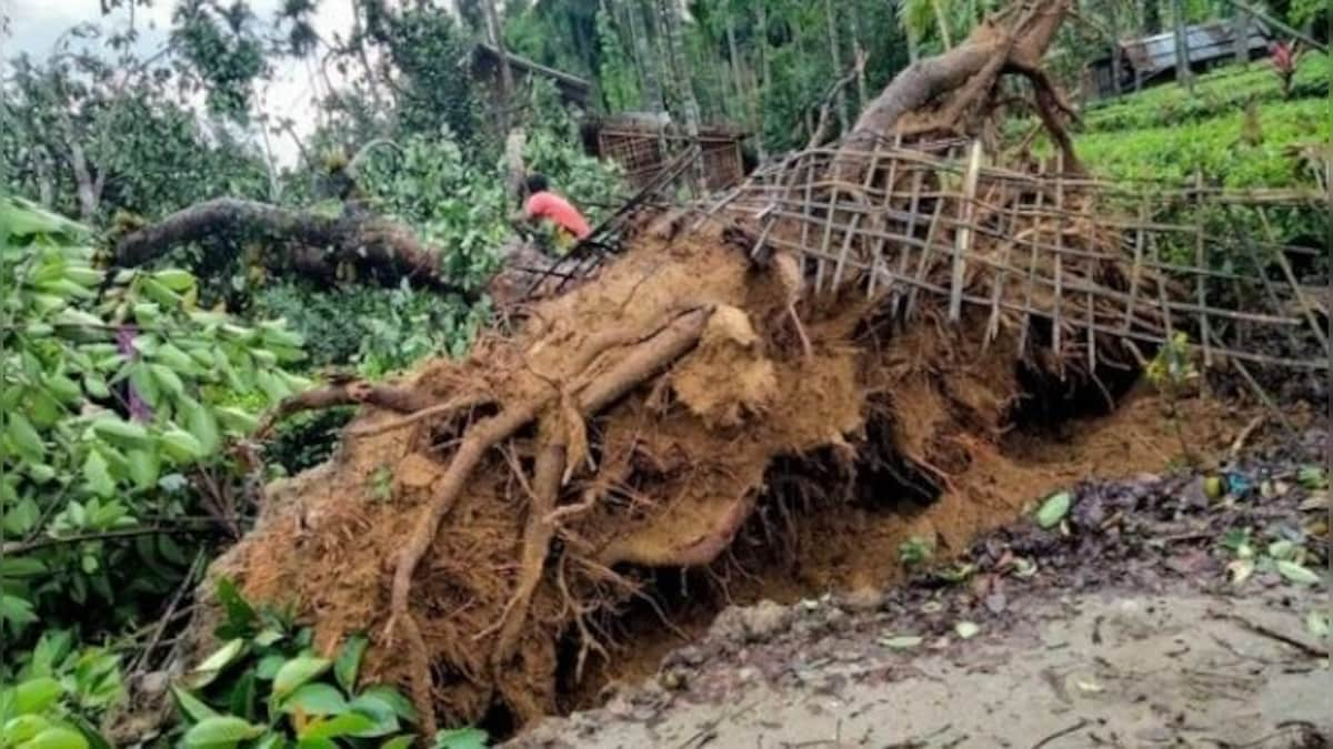 Assam: Eight killed, over 20,000 affected in 592 villages due to heavy rainfall