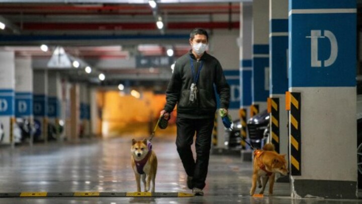 Shanghai partly restarts public transport, signals gradual reopening after two month lockdown