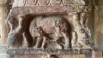 Cow carving 'discovered' at Qutub Minar: All the times the monument was in light for its alleged Hindu origin