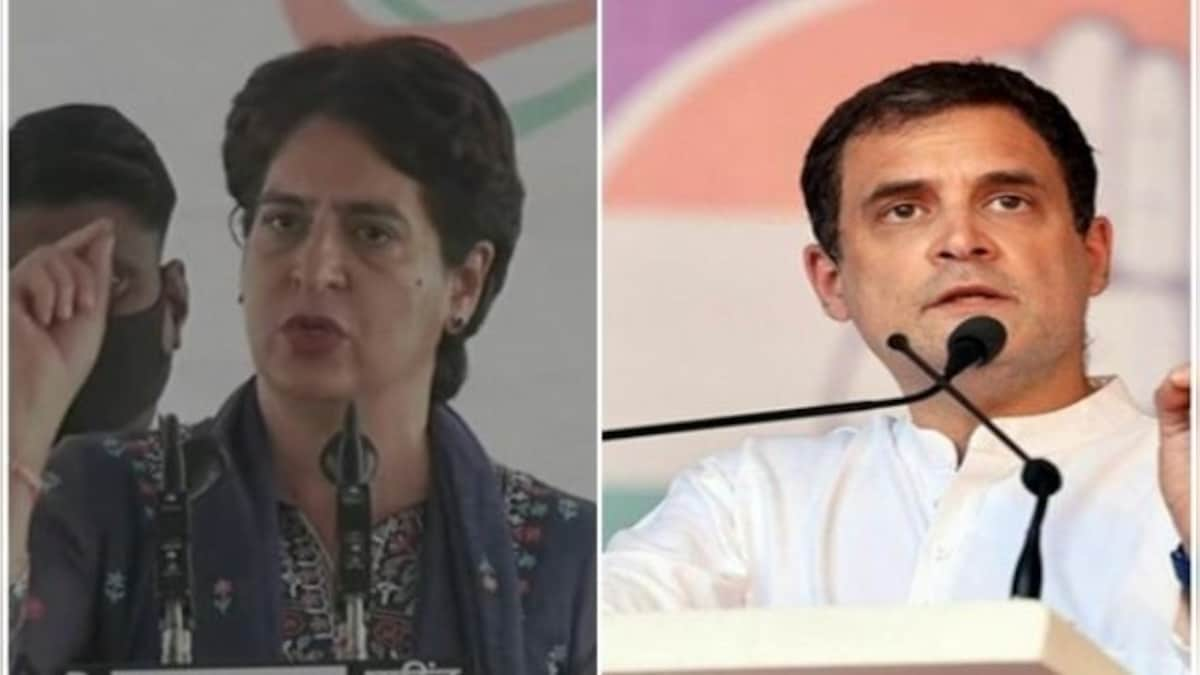 Tamil Nadu Congress spokesperson, who said Rahul Gandhi and Priyanka Gandhi Vadra should step aside to 'save' party, sacked