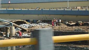 No longer the city of gardens! How we can stop our cities and towns from going the Bangalore way