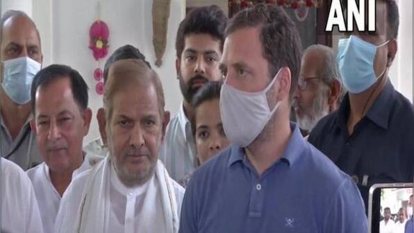 Rahul Gandhi runs Congress round-the-clock, should be made president, says Sharad Yadav
