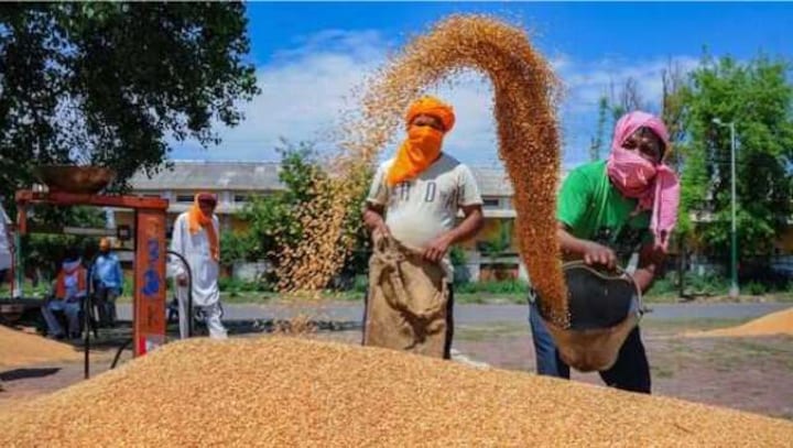 From facing food shortages to an becoming exporter: 75 years of India's independence