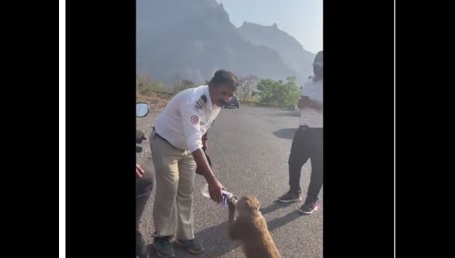 Watch: Maharashtra traffic cop offers water to thirsty monkey, internet lauds kind act Watch: Maharashtra traffic cop offers water to thirsty monkey, internet lauds kind act