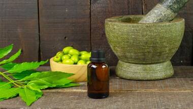 Central Council for Research in Ayurvedic Sciences to offer fellowship to 100 young undergraduate students