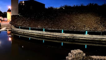 Explained: What is bioluminescence and how is France using it to light up a town?