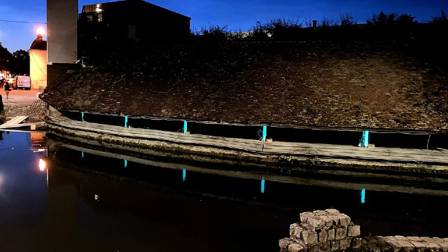 Explained: What is bioluminescence and how is France using it to light up a town? Explained: What is bioluminescence and how is France using it to light up a town?