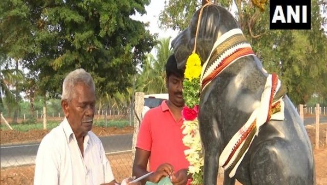 Man builds temple in memory of his pet dog in Tamil Nadu's Sivaganga Man builds temple in memory of his pet dog in Tamil Nadu's Sivaganga
