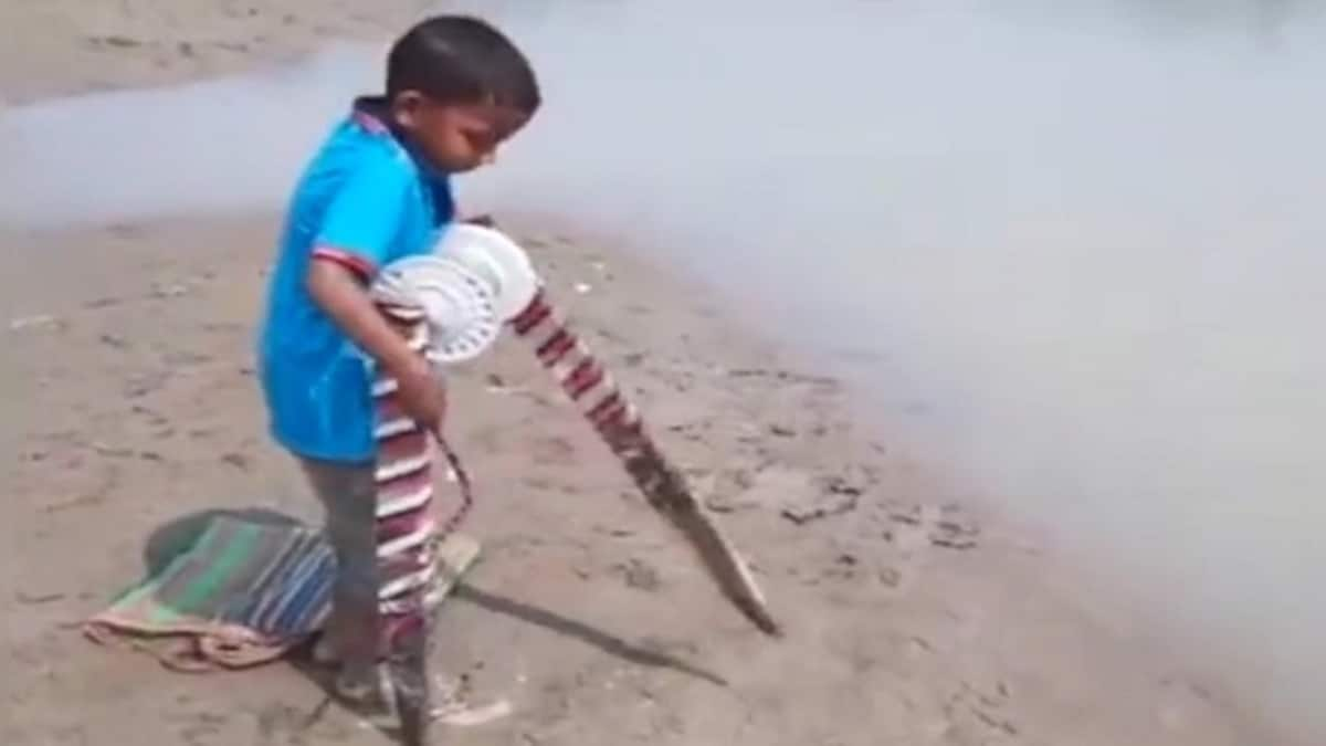 Anand Mahindra praises young boy's incredible fishing technique, watch the video here