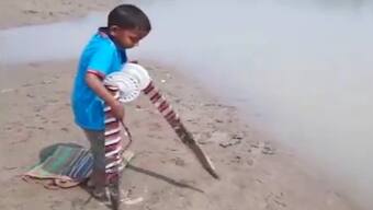 Anand Mahindra praises young boy's incredible fishing technique, watch the video here