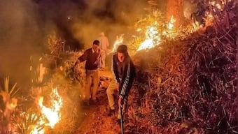Over one lakh fires in forests from January to March: Why jungles are burning in India