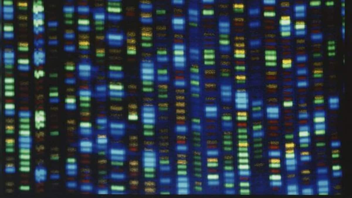 Scientists have finally finished decoding entire human genome: What does this mean?