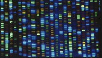 Scientists have finally finished decoding entire human genome: What does this mean?