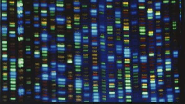 Scientists have finally finished decoding entire human genome: What does this mean?