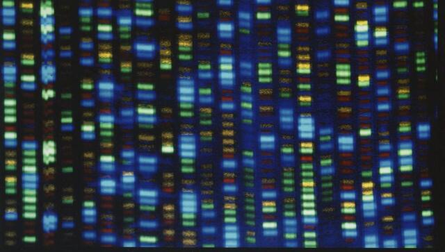 Scientists have finally finished decoding entire human genome: What does this mean? Scientists have finally finished decoding entire human genome: What does this mean?