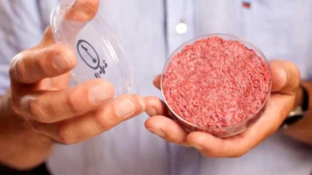 File image showing a lab-grown meat burger made from cultured beef, which has been developed by Professor Mark Post of Maastricht University in the Netherlands. AP
