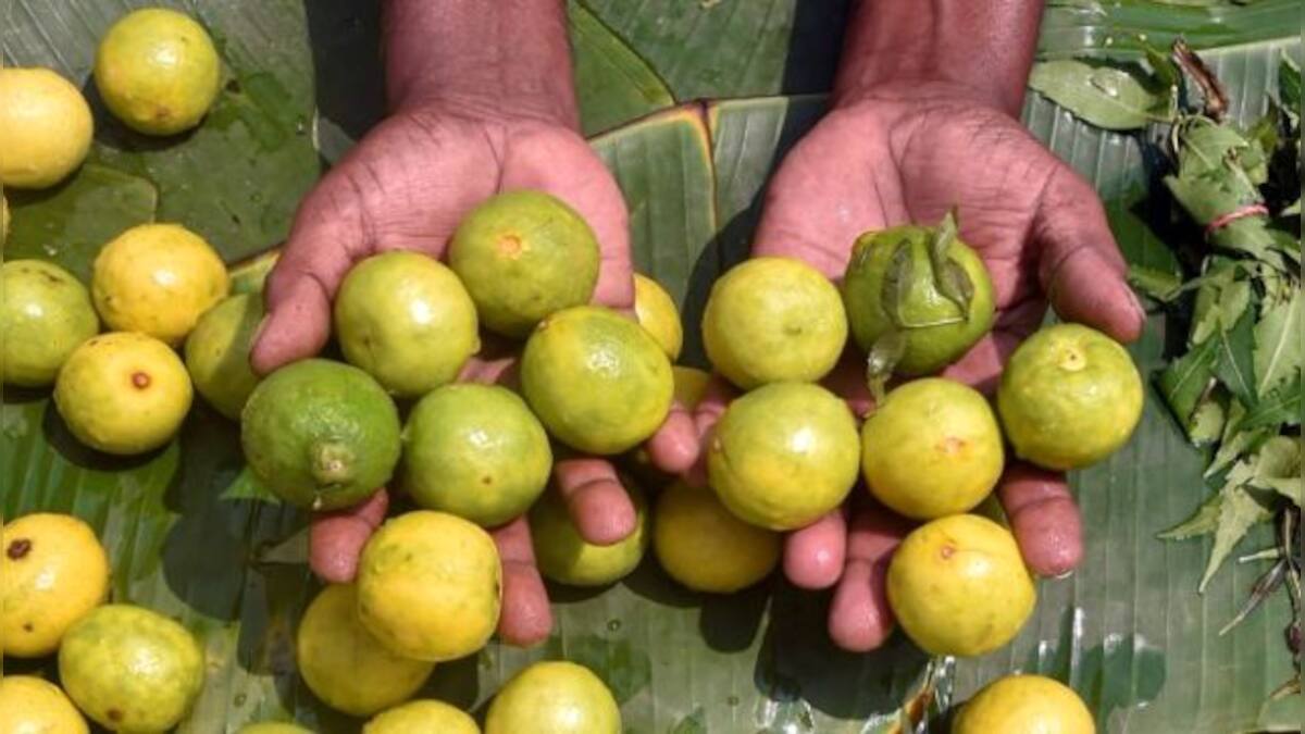 No more 'nimbu paani': Why prices of lemons across India have left a ...