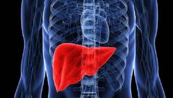 How fatty liver disease can become fatal