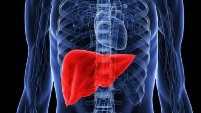 World Liver Day 2022: Diet dos and don'ts to maintain a healthy liver World Liver Day 2022: Diet dos and don'ts to maintain a healthy liver